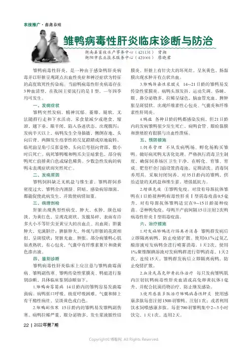 雏鸭病毒性肝炎临床诊断与防治