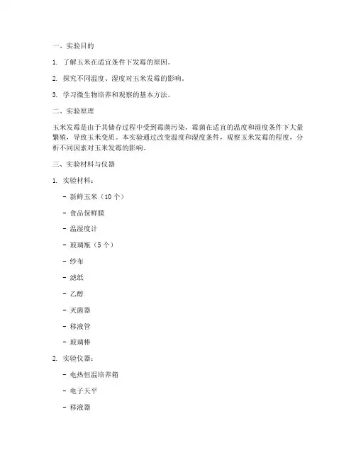 玉米发霉实验报告