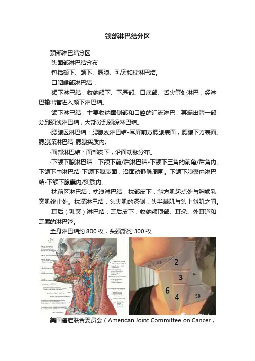 颈部淋巴结分区