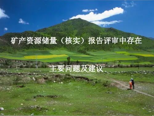 矿产资源储量(核实)报告评审中存在问题