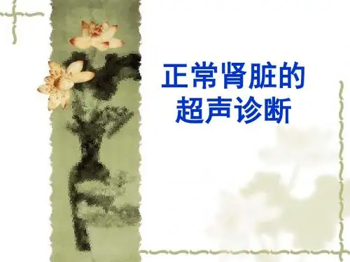 正常肾脏的超声诊断-精品文档