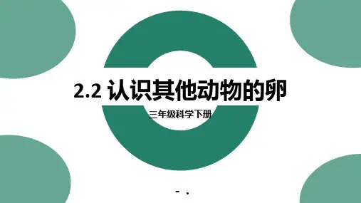 《认识其他动物的卵》PPT课件