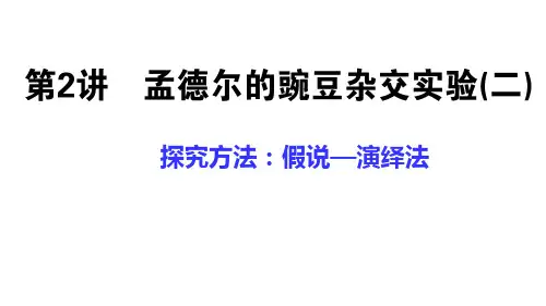 2022届高考生物一轮复习课件(知识精讲+思维导图)孟德尔的豌豆杂交实验(二)