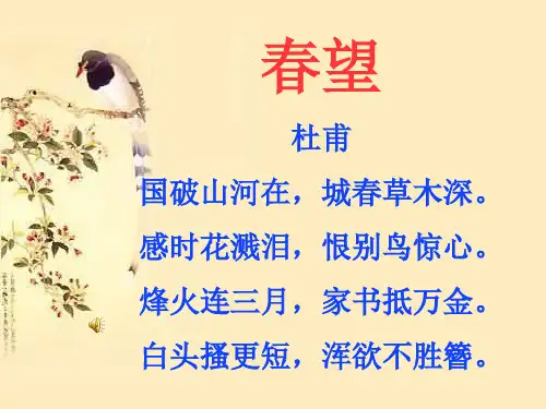 优秀公开课《春望》