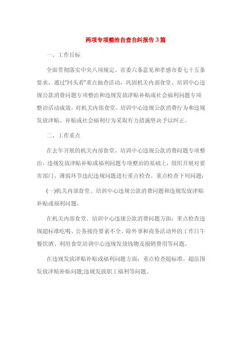 两项专项整治自查自纠报告3篇