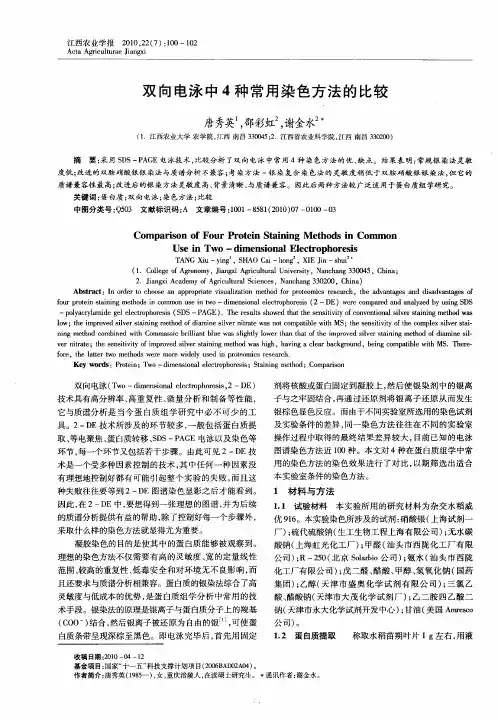双向电泳中4种常用染色方法的比较
