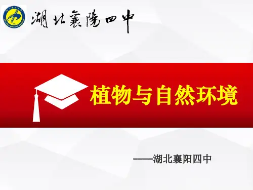 高中地理专题复习植被与自然环境定稿(共36张PPT)