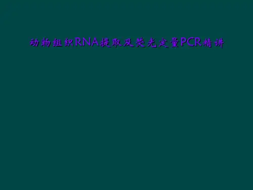 动物组织RNA提取及荧光定量PCR精讲