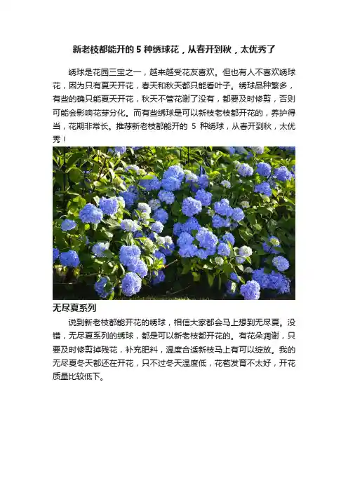 新老枝都能开的5种绣球花，从春开到秋，太优秀了