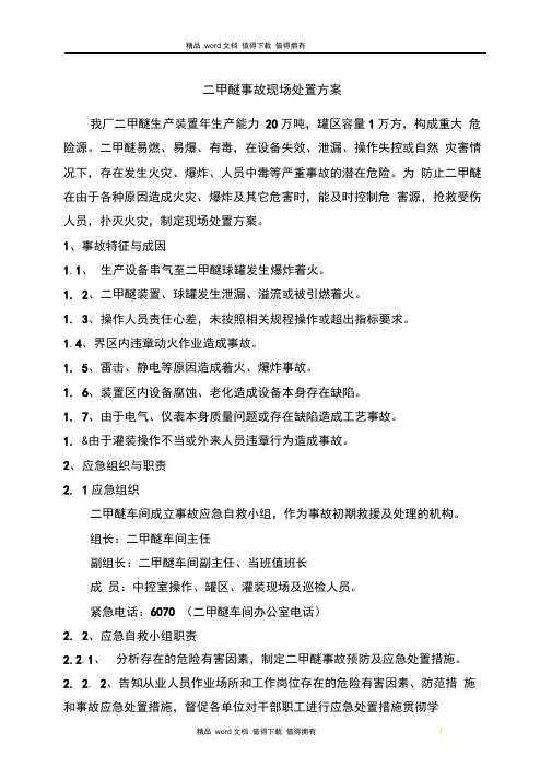 二甲醚现场处置方案