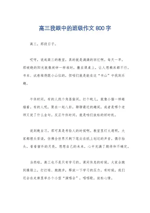 高三我眼中的班级作文800字