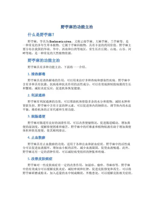 野苎麻的功能主治