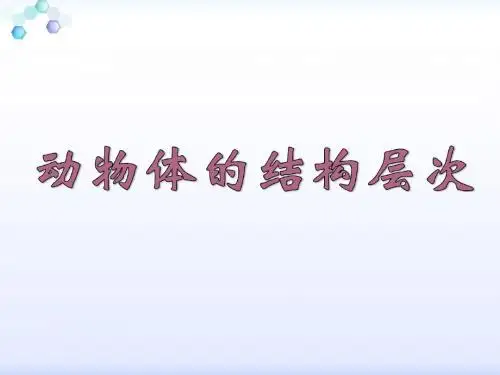 动物体的结构层次1