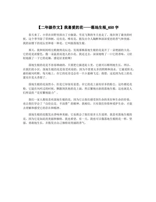 【二年级作文】我喜爱的花——落地生根_650字