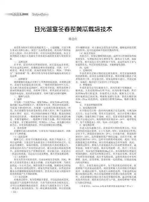 日光温室冬春茬黄瓜栽培技术