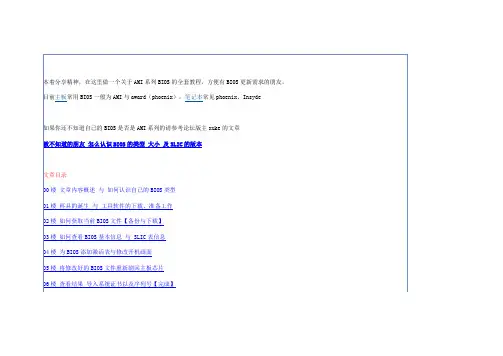 AMI系列BIOS从备份、寻找、查看到修改、刷新全教程
