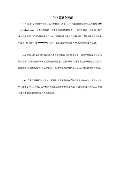 chx泛素化降解