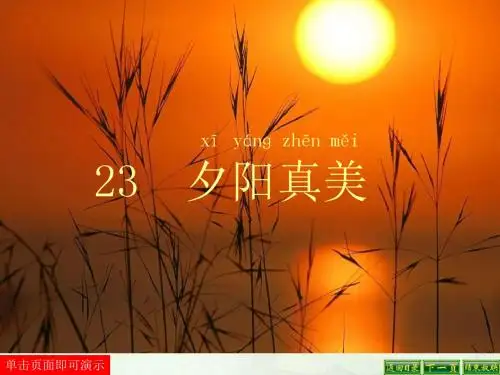 4、夕阳真美