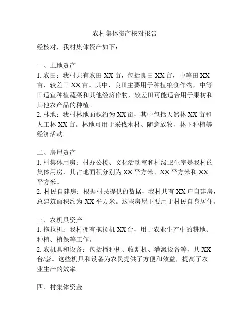 农村集体资产核对报告
