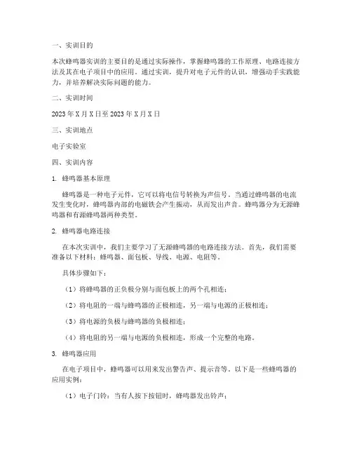 蜂鸣器实训报告