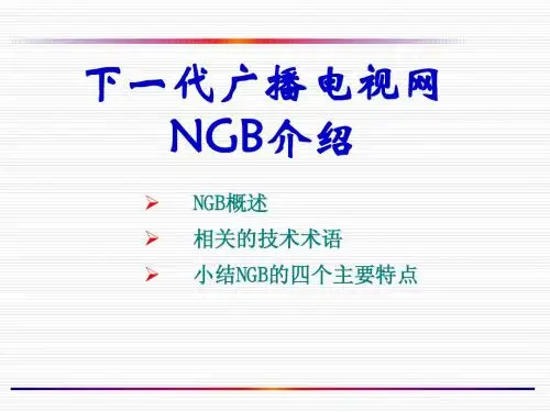 NGB介绍