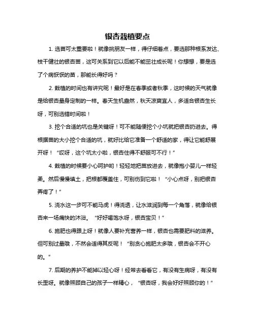 银杏栽植要点