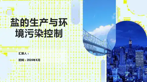 盐的生产与环境污染控制