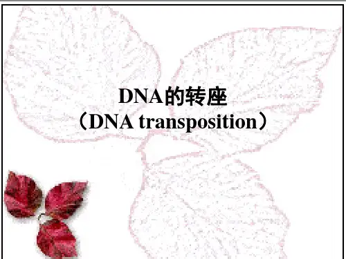 DNA的转座(DNA TRANSPOSITION)
