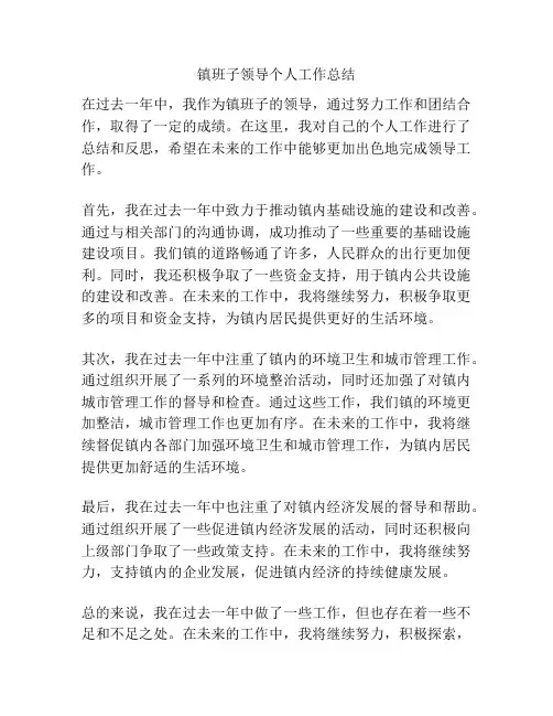 镇班子领导个人工作总结