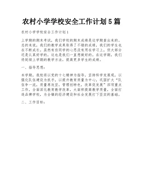 农村小学学校安全工作计划5篇