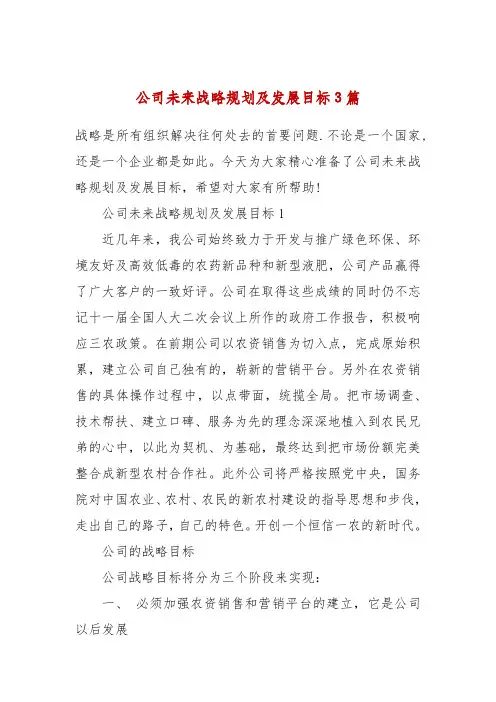 公司未来战略规划及发展目标3篇
