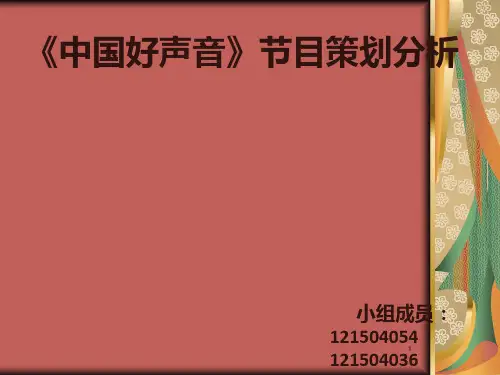 中国好声音策划分析PPT课件