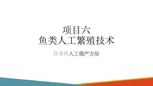鱼类人工繁殖技术—人工催产