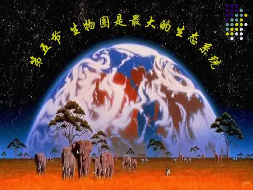 人教版七年级生物上册生物圈是最大的生态系统课件