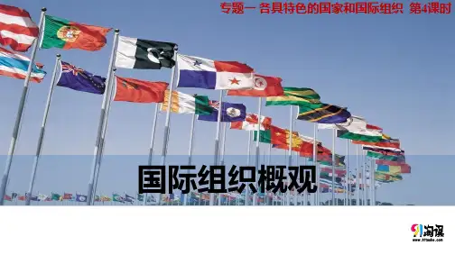 课件10：1.4 国际组织概观