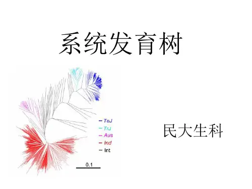 系统发育树