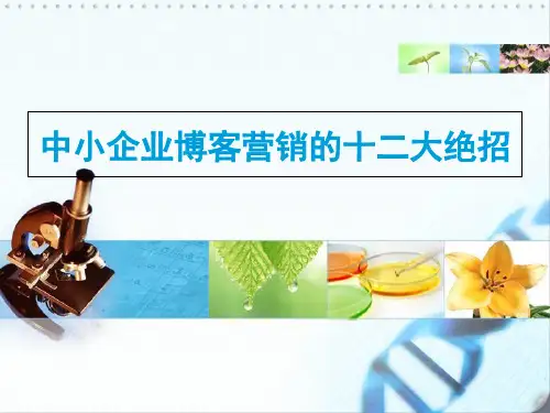 博客营销12种方法