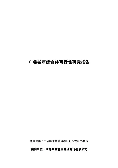 广场城市综合体项目可行性研究报告
