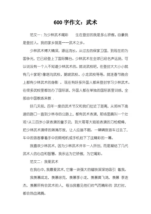 600字作文：武术