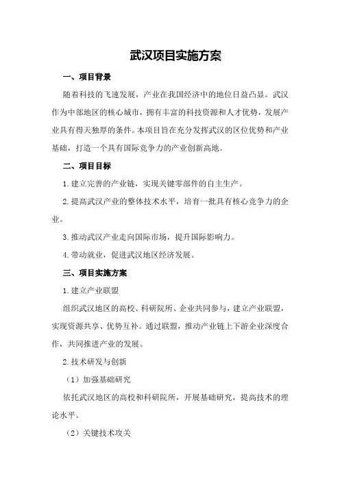 武汉机器人项目实施方案