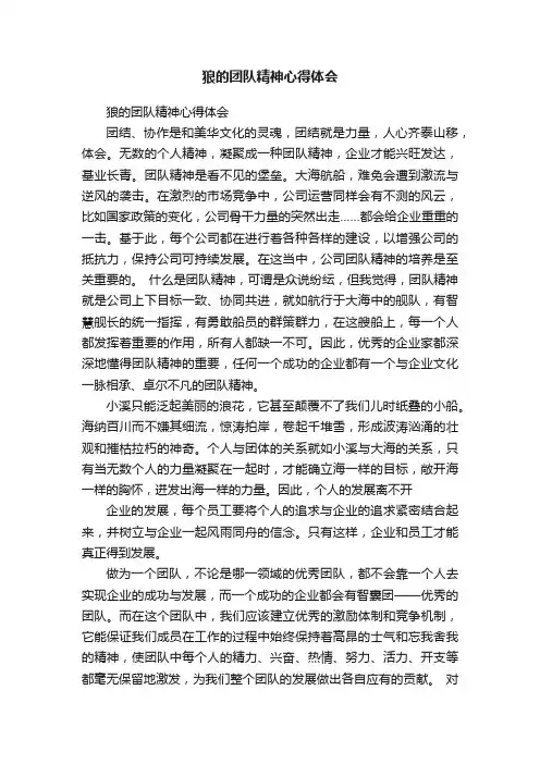 狼的团队精神心得体会