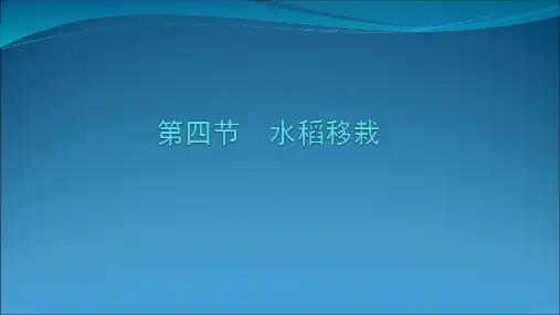水稻移栽PPT课件