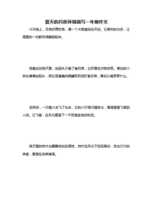 夏天的月夜环境描写一年级作文