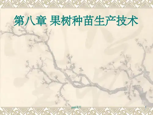 《果树种苗生产技术》PPT课件