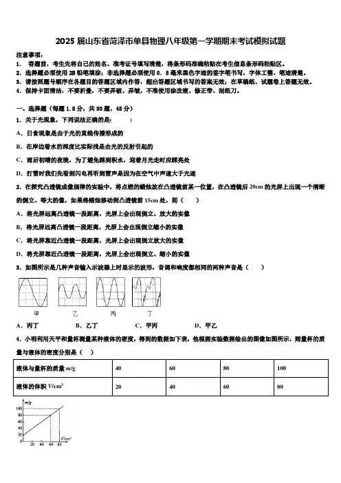 2025届山东省菏泽市单县物理八年级第一学期期末考试模拟试题含解析