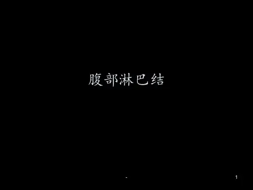 腹部淋巴结ppt课件