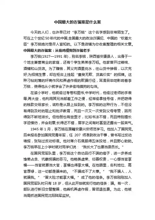 中国最大的诈骗案是什么案