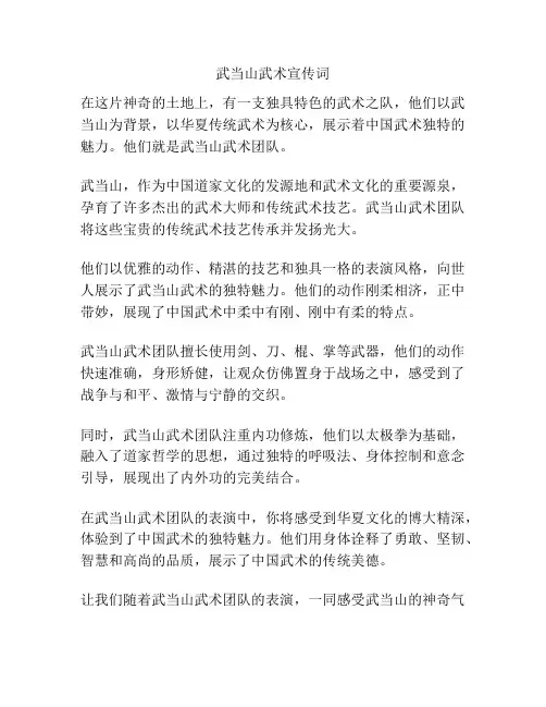 武当山武术宣传词