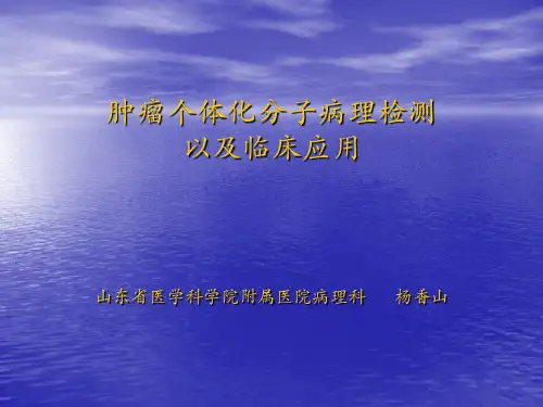 肿瘤个体化分子病理检测和临床应用