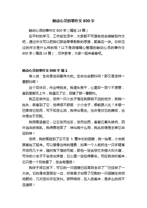 触动心灵的事作文800字
